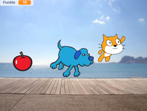 Hund Katzen Jagd
